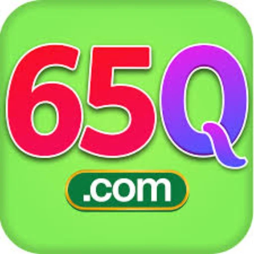 65q Logo